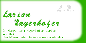larion mayerhofer business card